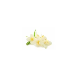 Arôme fleur d'oranger - par 1 L
