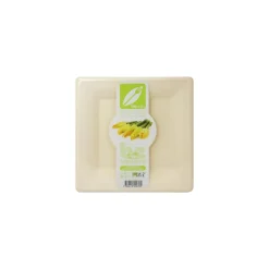 Assiette carrée bio 26 cm en bagasse - par 40
