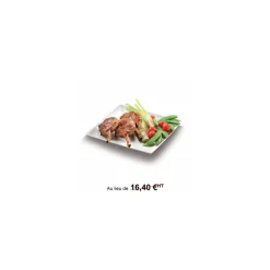 Assiette carrée en bagasse 18 x 18 cm - par 50