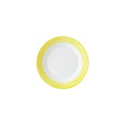 Assiette plate brush jaune ø 19,5 cm - par 24