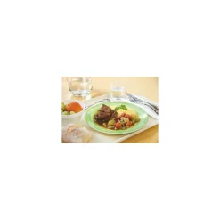 Assiette plate brush verte ø 19,5 cm - par 24
