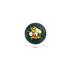 Assiette ronde PP noire ø 24 cm - par 20