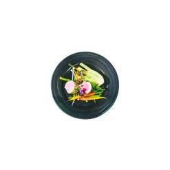 Assiette ronde PP noire ø 24 cm - par 20