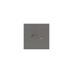 Attache cellophane rouge 9 x 0,7 cm - par 2000