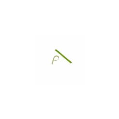 Attache cellophane vert 9 x 0,7 cm - par 2000
