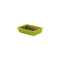 Bac vestah gazon-anis GN 1/3 H. 6,5cm