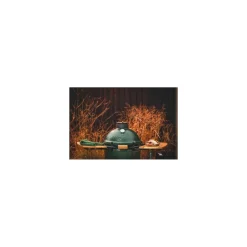 Barbecue Kamado Big Green Egg Medium