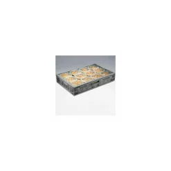 Barquette plastique pour 6 brochettes Ondipack 1500 ml - par 20