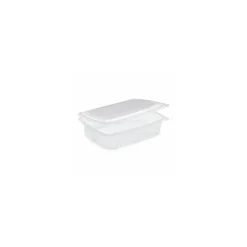 Barquette plastique pour 12 brochettes Ondipack 2500 ml - par 15