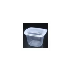 Barquette plastique transparente avec couvercle Ondipack 750 ml - par 50
