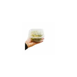 Barquette plastique transparente avec couvercle Ondipack 750 ml - par 50