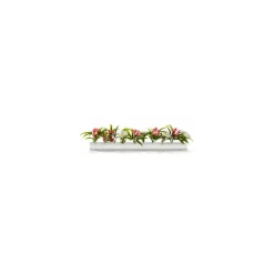 Barrette blanche fleurs passion et marguerites 25 cm - par 12