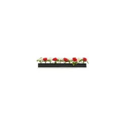 Barrette noire marguerites et roses 25 cm - par 12