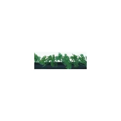 Barrette noire persil 25 cm - par 12