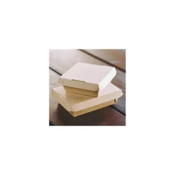 Boite Clac & Go carton 170 x 120 x 55 mm - par 25