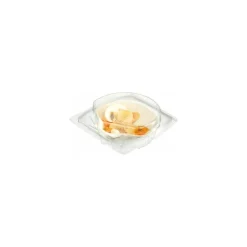 Boite Cristal Patipack 1 coquille PET - par 300