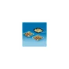 Boite salade Crudipack cristal PET 75 cl - par 70