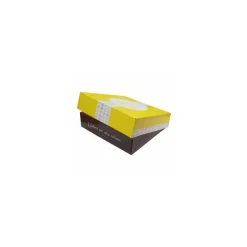 Boîte pâtissière 20 x 20 x 8 cm décor AURIOS - par 50