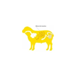 Boyau de mouton Bo'vite ⌀ 22/24 A - par 90 m