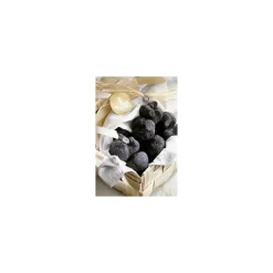 Brisures de truffe noire Tuber melanosporum - par 1 kg