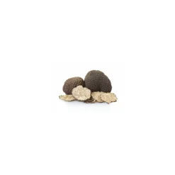 Brisures de truffes noires Tuber brumale - par 200 g