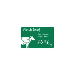 Cartes PVC vertes Edikio Access Flex et Duplex 8,56 x 5,4 cm - par 100