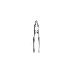 Casse noix et pattes inox 16 x 4,1 x 1 cm