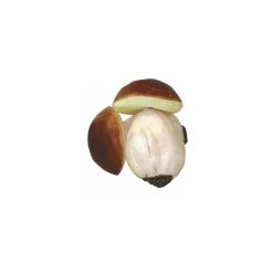 Champignon factice - par 2