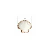 Coquille Saint Jacques naturelle 12+ cm - par 250