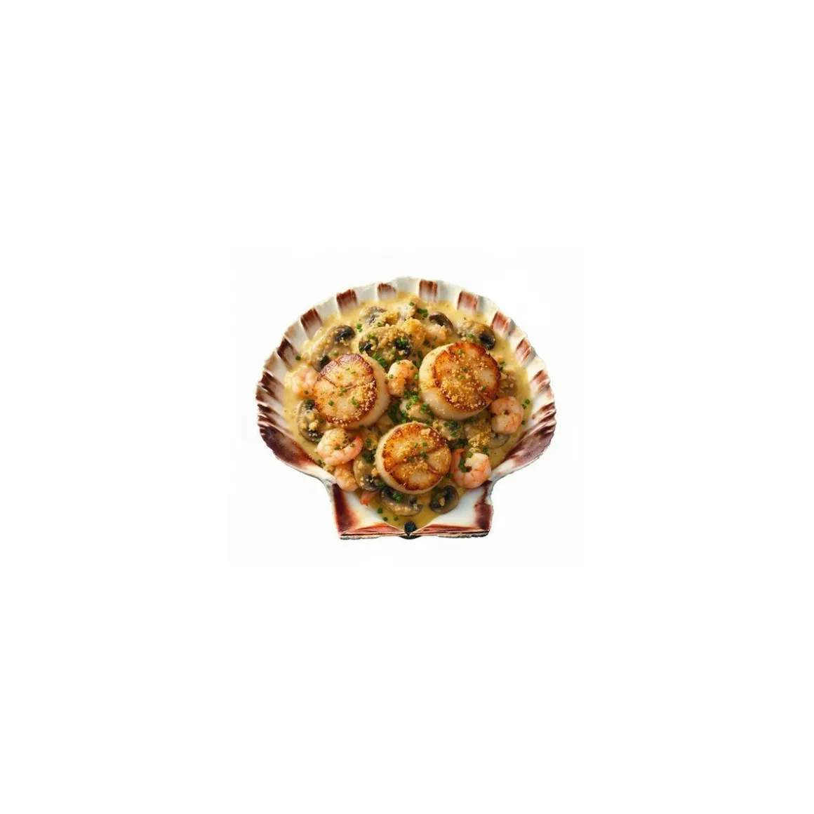 Coquille Saint Jacques naturelle 13,5+ cm - par 160