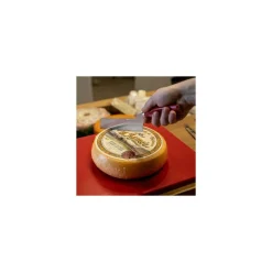 Couteau à fromage pâte mi-dure rouge 21 cm
