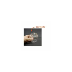 Couvercle dôme plastique transparent pour coupe à dessert 275 ml - par 50