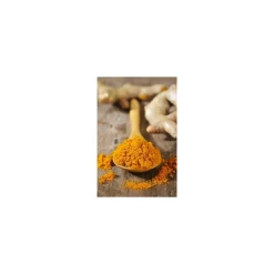 Curcuma pulvérisé - par 1 kg