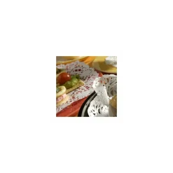 Dentelle blanche Ø 30 cm - par 250