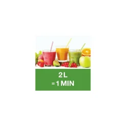 Extracteur de jus J 80 Buffet 230V monophasé