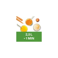 Extracteur de jus J 100 230V monophasé