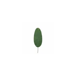 Feuille de bananier 60 cm