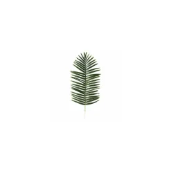 Feuille de palmier 120 x 50 cm
