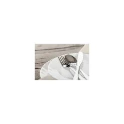 Fourchette de table inox Havane - par 12