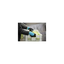 Gant anti froid Temp Ice 700 T9