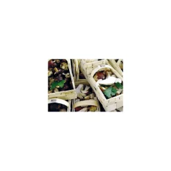 Garniture forestière - par 500 g