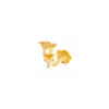 Girolles entières - par 500 g