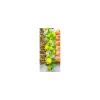 Guirlande citron 190 cm