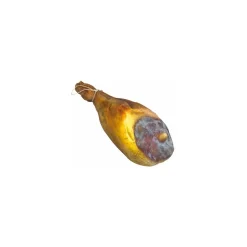 Jambon sec factice 48 x 27 cm