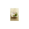 Mini assiette carrée bagasse 6,6 x 6,6 cm - par 50