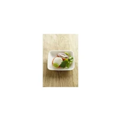 Mini assiette carrée bagasse 6,6 x 6,6 cm - par 50