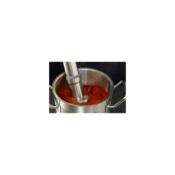 Mixer plongeant CMP 250 Vitesse Variable 230V monophasé