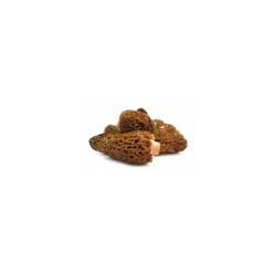 Morilles spéciales - par 500 g