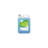 Nettoyant vitre GREEN'R WIND - par 5 L