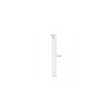 Paille carton 20 cm emballée individuellement - par 500